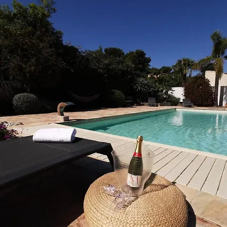 Giens La Madrague Villa 85 M Swimming Pool Garden Parking And Sea View * イエール