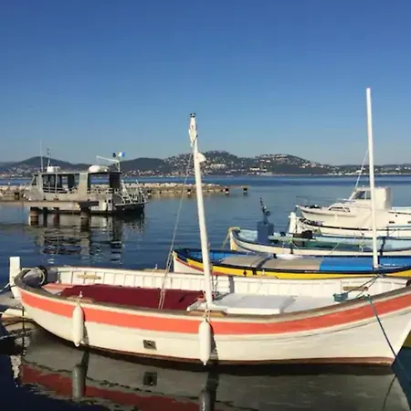 Giens La Madrague Villa 85 M Swimming Pool Garden Parking And Sea View ヴィラ イエール